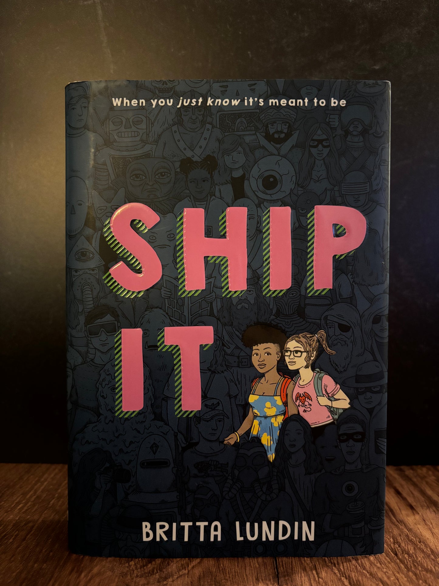 "Ship It" by Britta Lundin (Preowned Hardcover)