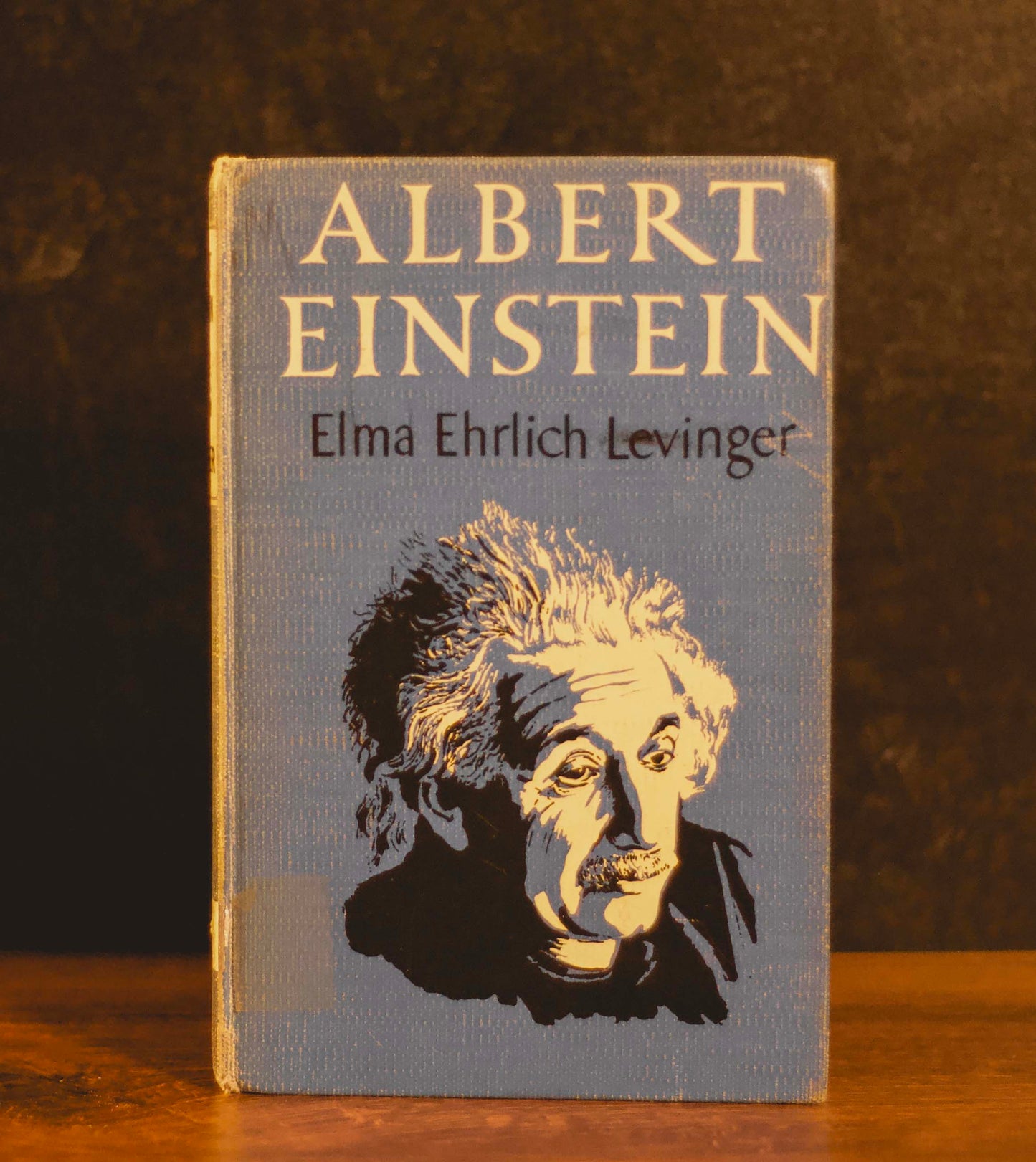 "Albert Einstein" by Elma Ehrlich Levinger (Antique Hardcover)