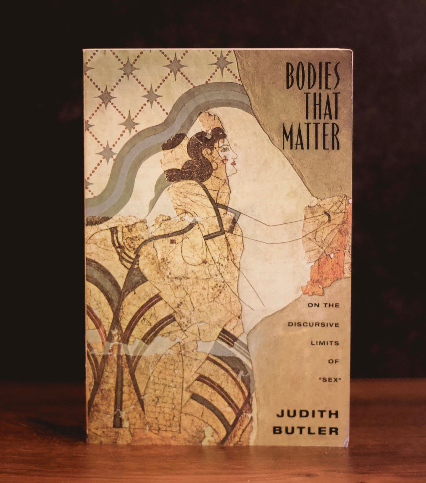 "Bodies That Matter" by Judith Butler (Preowned Textbook)